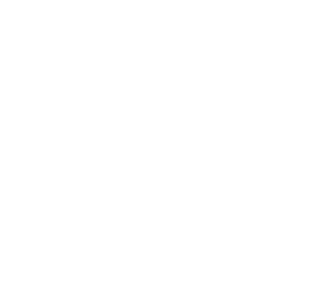 Ludic